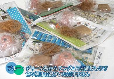 フェルトで創る基本の多肉植物 ブルー・グリーン系