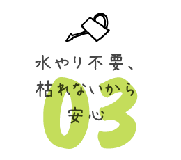 水やり不要、枯れないから安心
