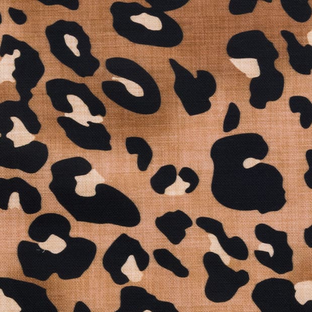 【YH8022】レオスフレ/ブラウン