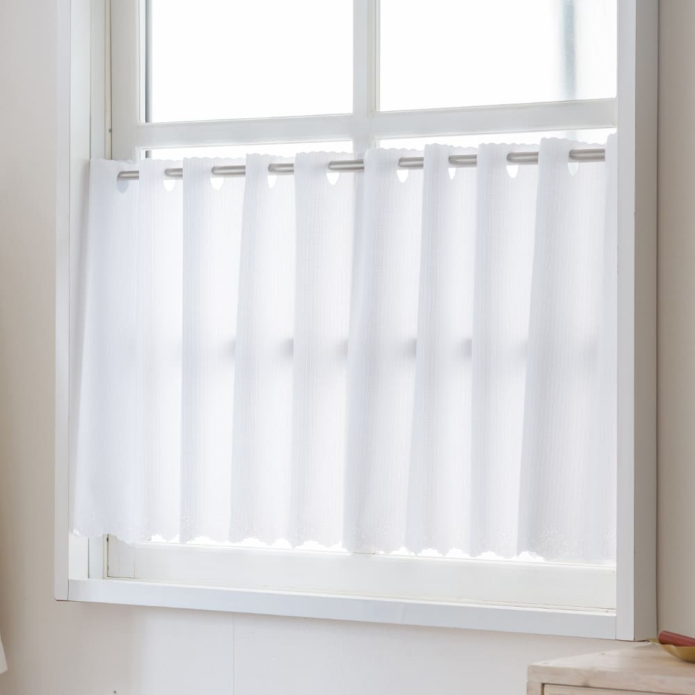 エコラクールストライプ