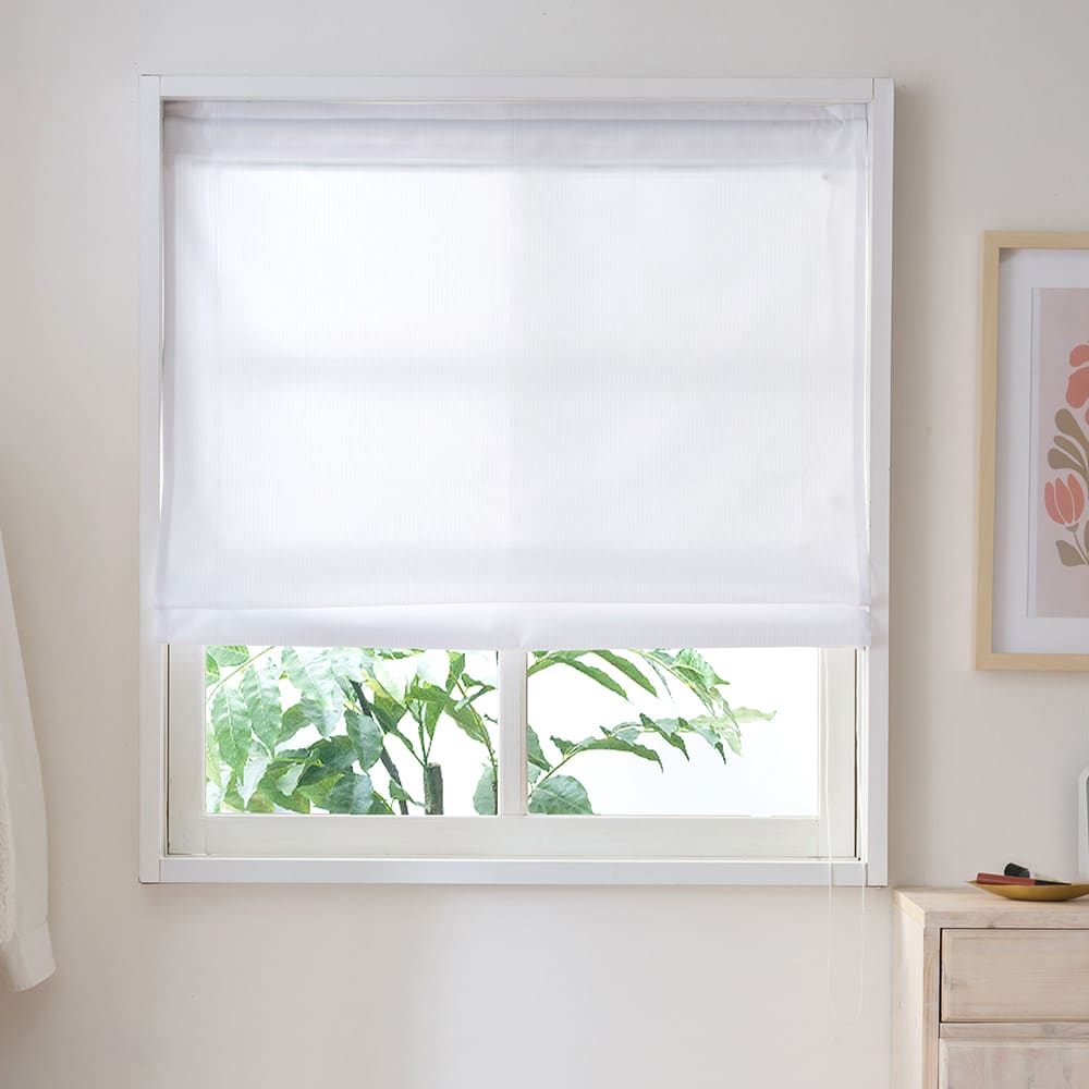 エコラクールストライプ